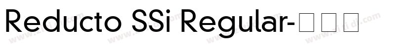Reducto SSi Regular字体转换